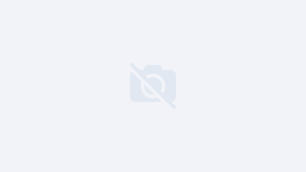 Watch Movies and TV Shows Online Free